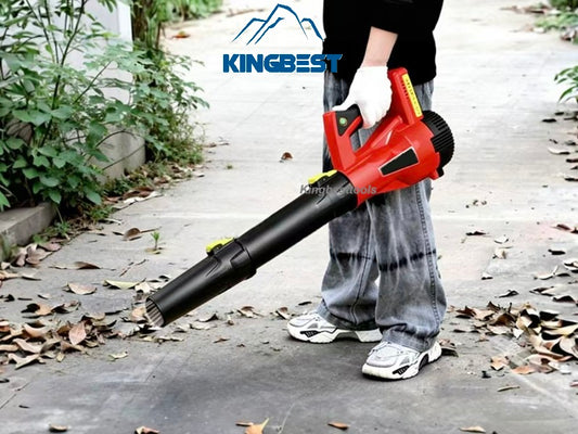 High Power Electric Blower Free Shipping